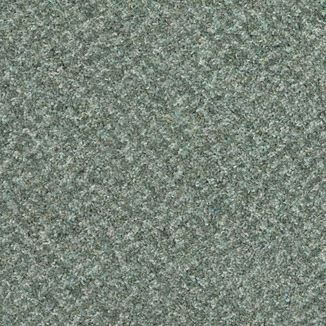 Adam Clevedon celadon