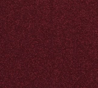Adam Pershore plum