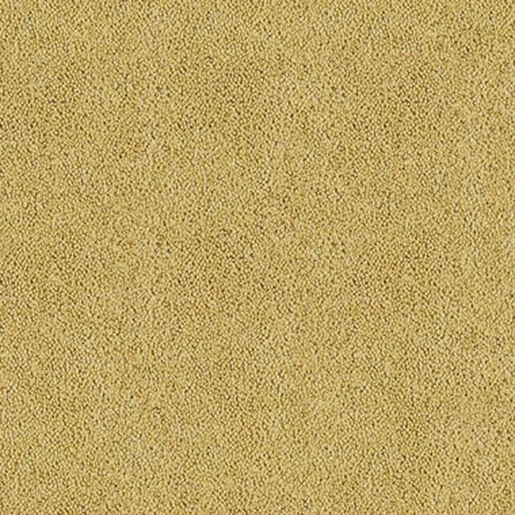 Brintons Bell Twist Desert sand – Carpet Factory Outlets