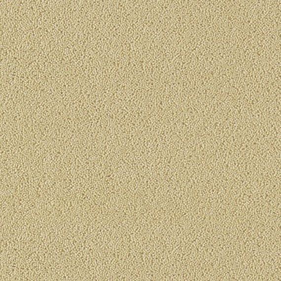 indian ivory