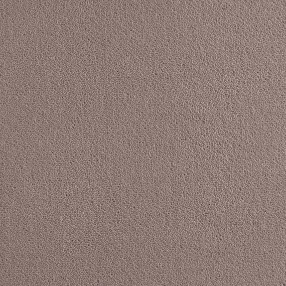 Brintons True Velvet Chrome 2.35m x 4.57m