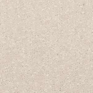 Brockway Dimensions Plain 50oz Old White